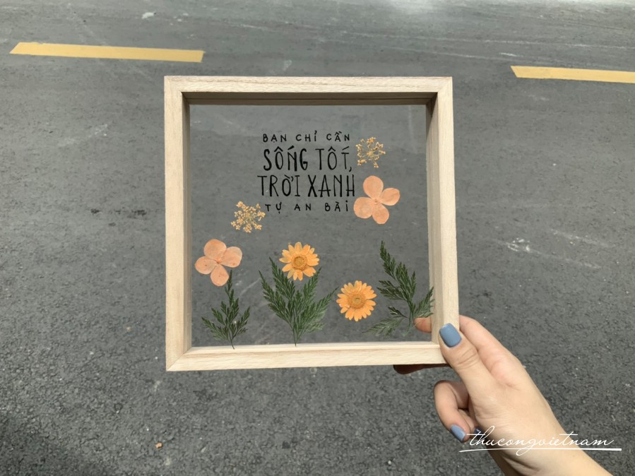 Khung ảnh Mica Ép Hoa Khô : 